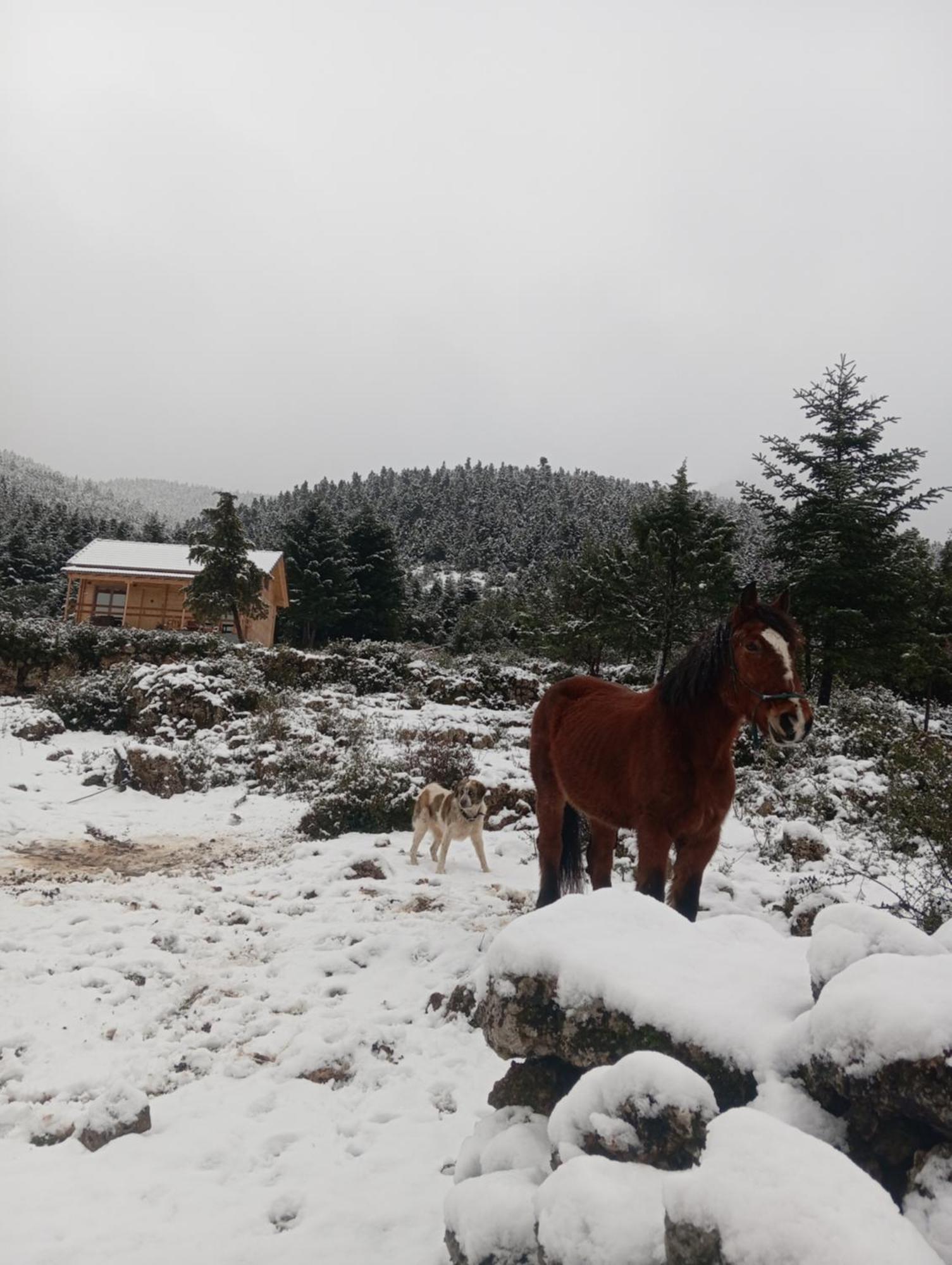 The Farmhouse Βυτίνα Εξωτερικό φωτογραφία